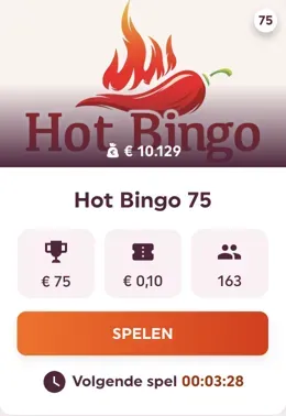 Hot Bingo 75 bij Winnitt Casino